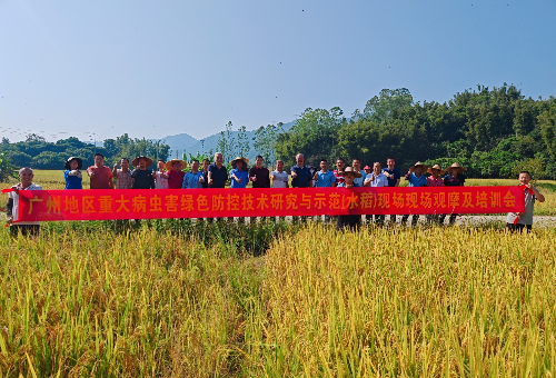 植保所到增城開(kāi)展水稻病蟲(chóng)害綠色防控技術(shù)培訓(xùn)及現(xiàn)場(chǎng)觀摩會(huì).jpg