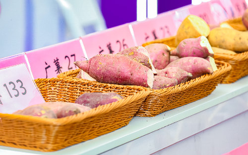 薯業(yè)展.jpg