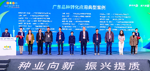 典型案例.jpg