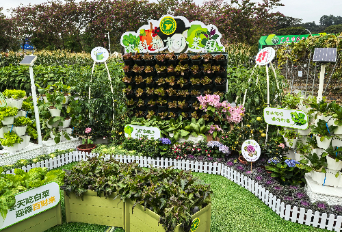 小菜園1.jpg