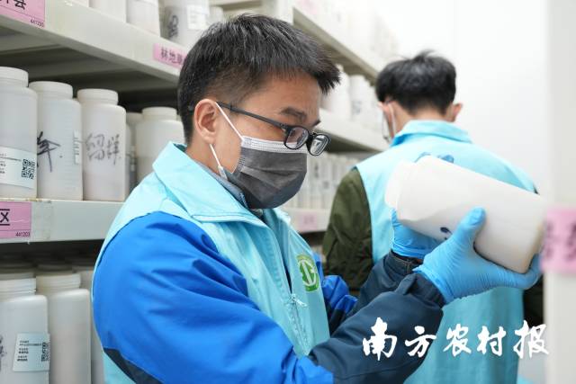 省級(jí)質(zhì)控實(shí)驗(yàn)室對(duì)各單位制樣情況進(jìn)行檢查。