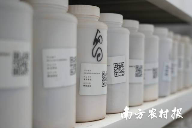 土壤檢測樣品。