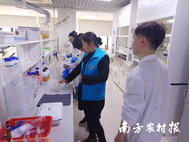 技術(shù)專家與檢測人員進行指導與交流。