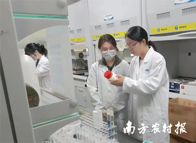 技術(shù)專家與檢測人員進行指導與交流。