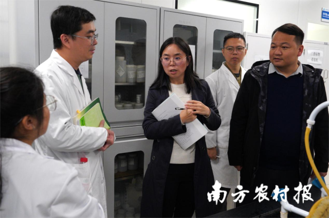 技術(shù)專家與檢測人員進行指導與交流。