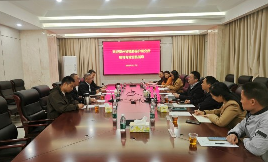 20250107貴州省植物保護(hù)研究所到植保所調(diào)研.jpg