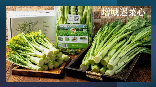 圖片2.jpg