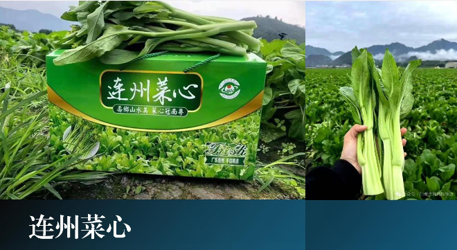 圖片3.jpg