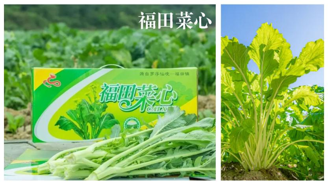 圖片4.jpg