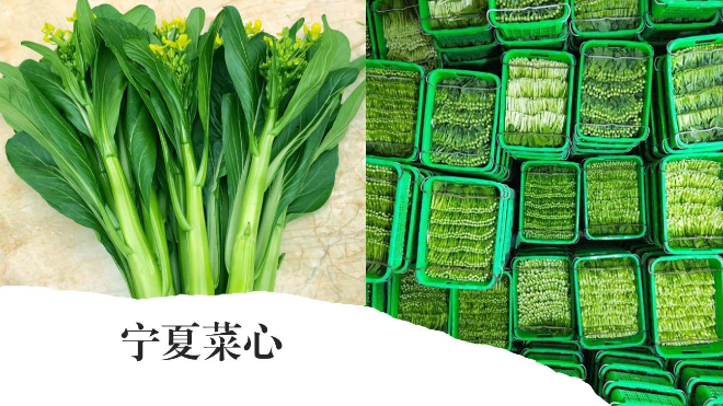 圖片5.jpg