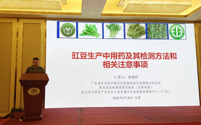 已編輯圖片