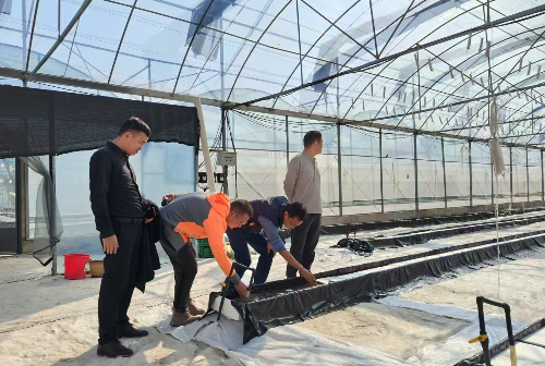 特派員團隊在黔南州龍里縣種植基地指導.jpg