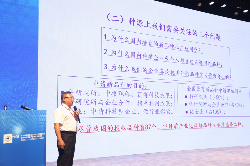 已編輯圖片