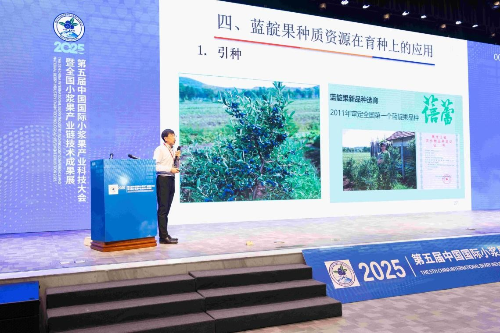 已編輯圖片