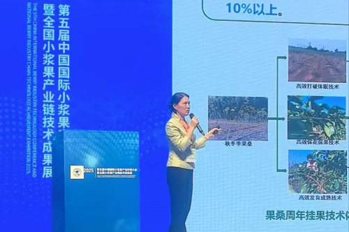 已編輯圖片