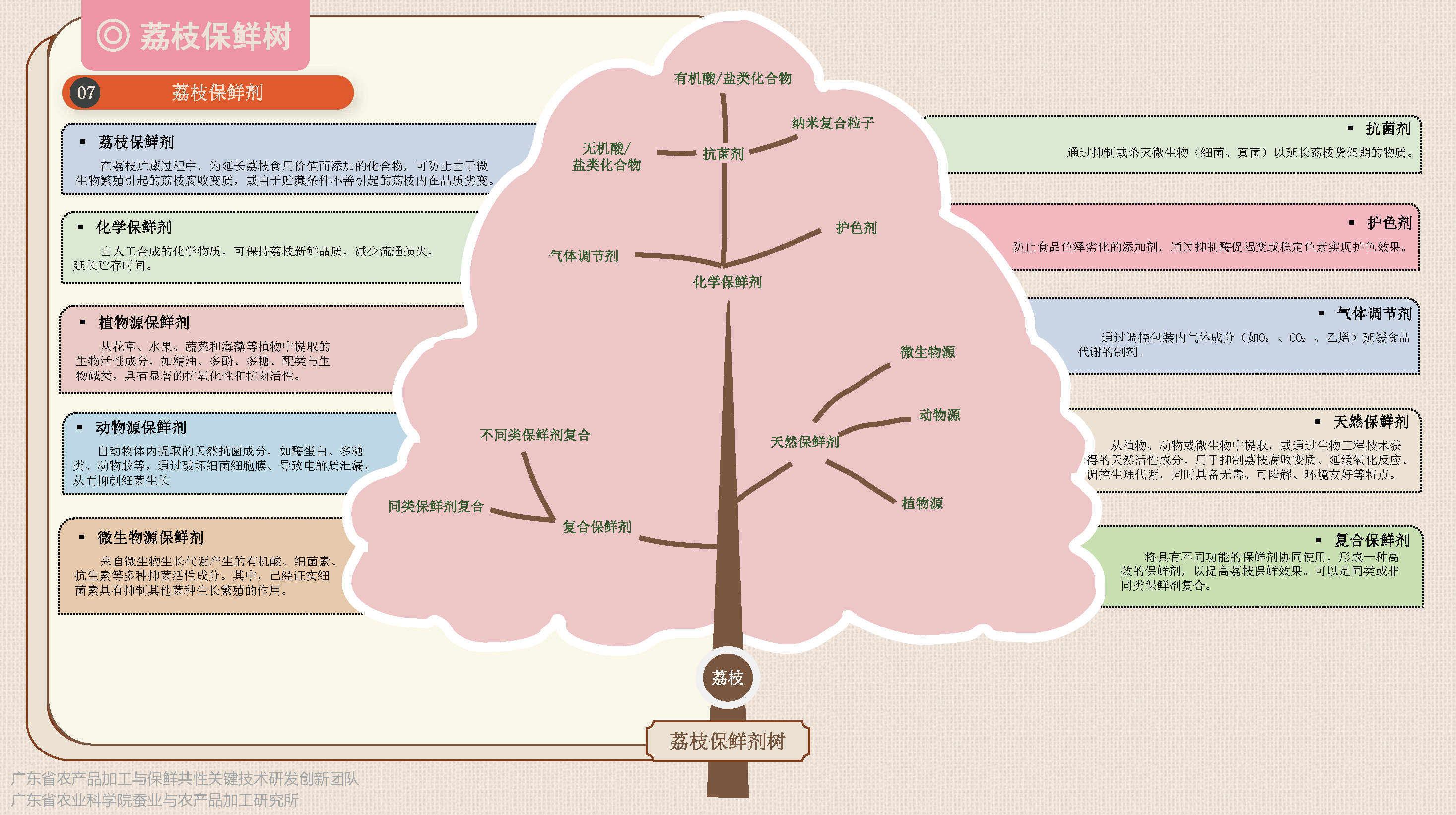 荔枝保鮮加工樹(1)-定稿_頁面_3.png