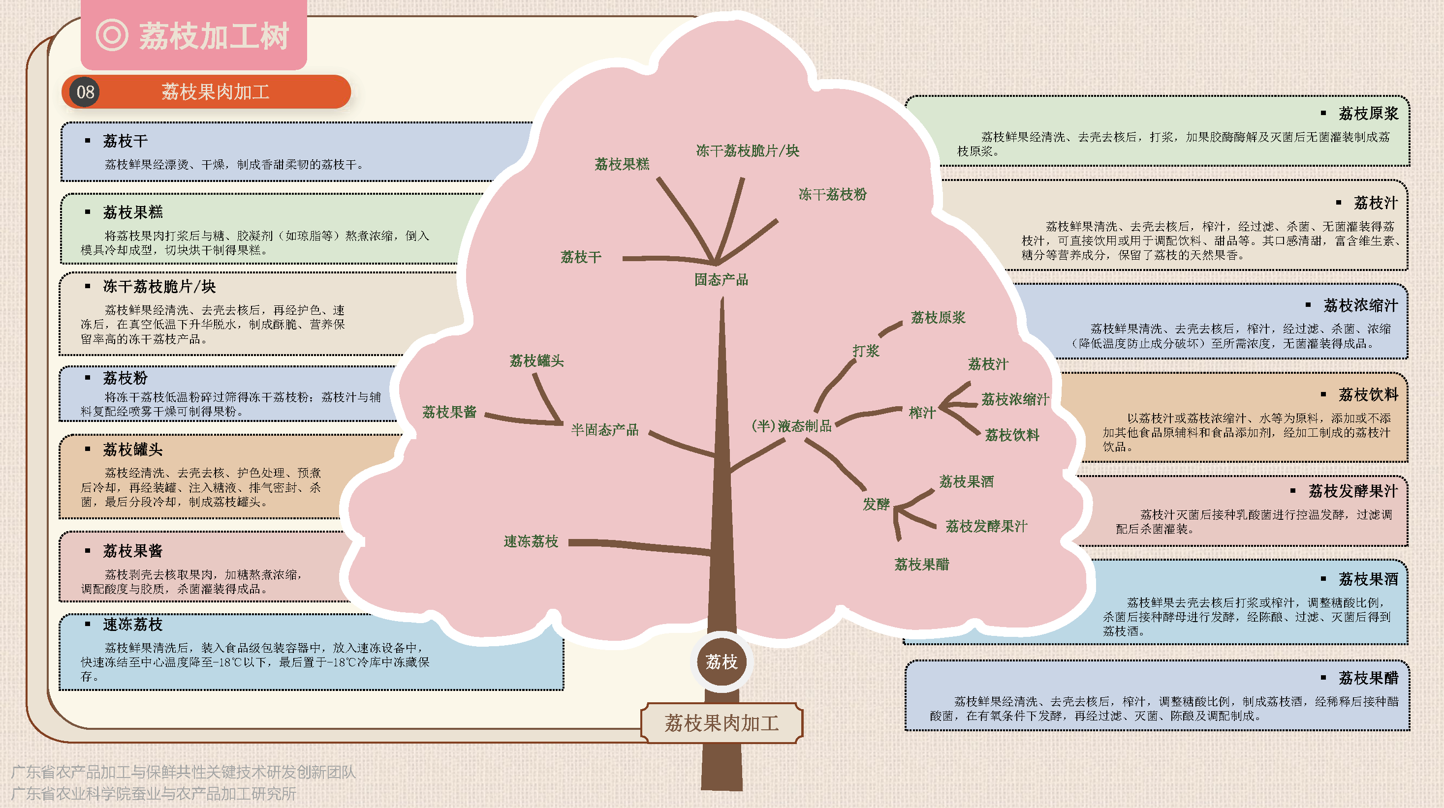 荔枝保鮮加工樹(1)-定稿_頁面_7.png