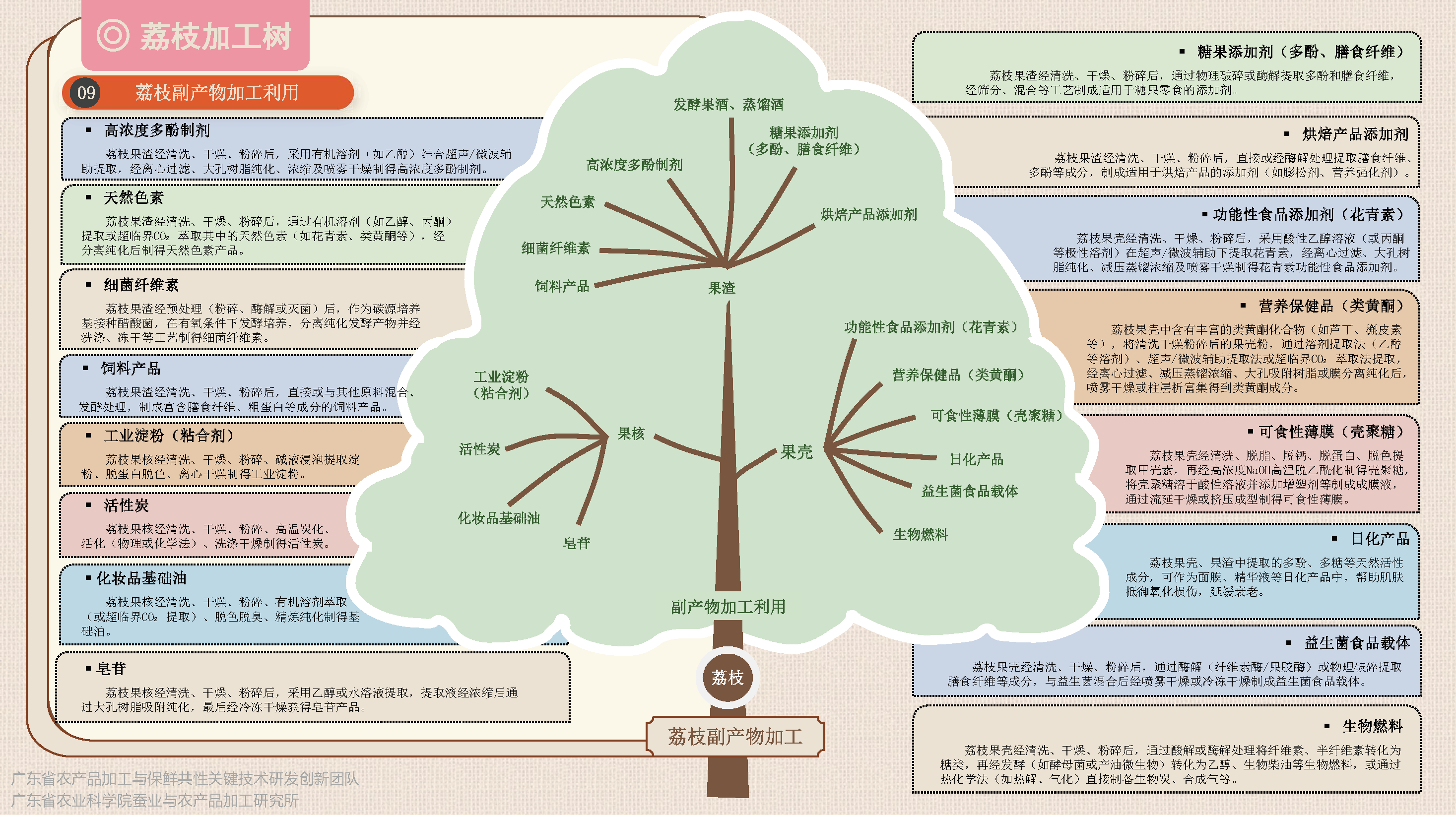 荔枝保鮮加工樹(1)-定稿_頁面_8.png