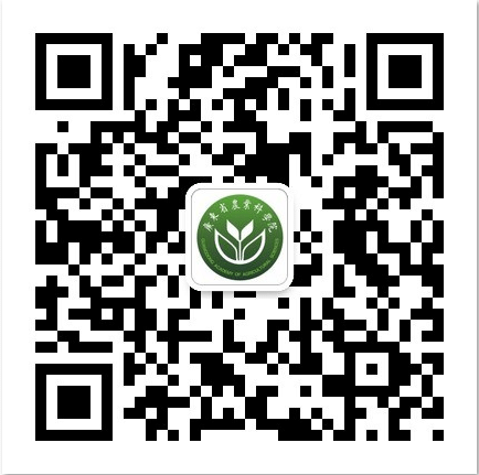 手機(jī)版二維碼